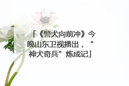 《警犬向前冲》今晚山东卫视播出，“神犬奇兵”炼成记