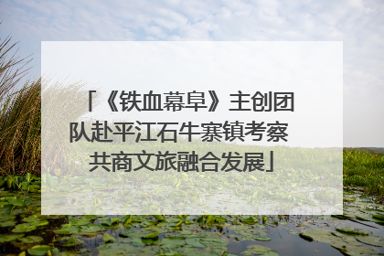 《铁血幕阜》主创团队赴平江石牛寨镇考察 共商文旅融合发展
