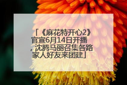 《麻花特开心2》官宣6月14日开播，沈腾马丽召集各路家人好友来团建