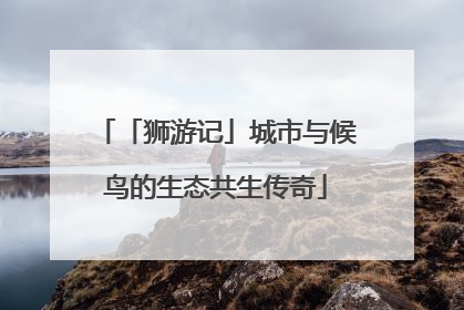 「狮游记」城市与候鸟的生态共生传奇