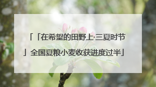 「在希望的田野上·三夏时节」全国夏粮小麦收获进度过半
