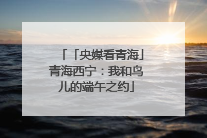 「央媒看青海」青海西宁：我和鸟儿的端午之约