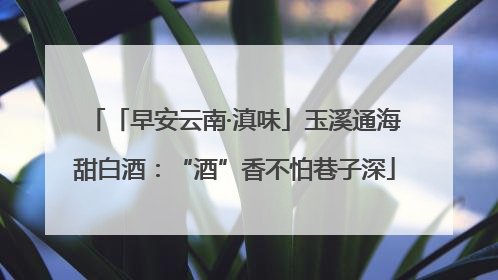 「早安云南·滇味」玉溪通海甜白酒：“酒”香不怕巷子深