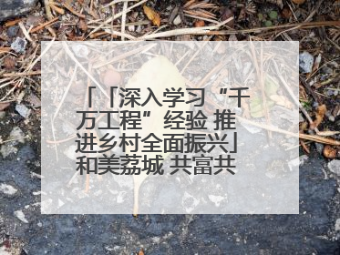 「深入学习“千万工程”经验 推进乡村全面振兴」和美荔城 共富共美 荔城区扎实推进乡村振兴工作