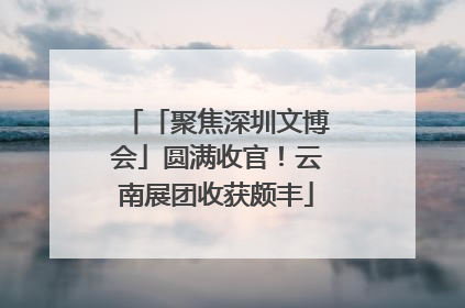 「聚焦深圳文博会」圆满收官！云南展团收获颇丰