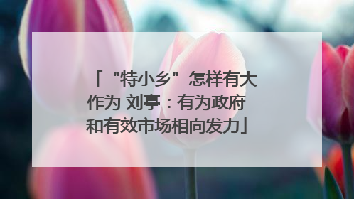 “特小乡”怎样有大作为 刘亭：有为政府和有效市场相向发力
