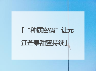 “种质密码”让元江芒果甜蜜持续