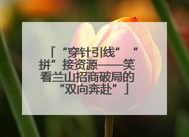 “穿针引线”“拼”接资源——笑看兰山招商破局的“双向奔赴”