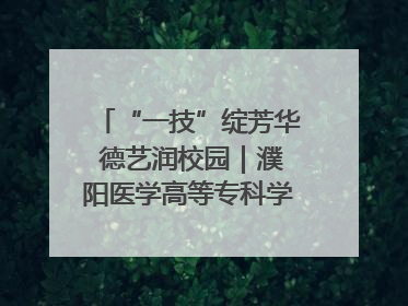 “一技”绽芳华 德艺润校园｜濮阳医学高等专科学校开展丰富多彩的职业教育活动周主题活动