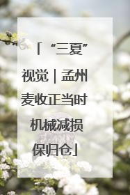 “三夏”视觉｜孟州麦收正当时 机械减损保归仓