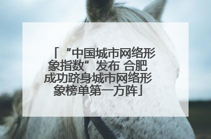 “中国城市网络形象指数”发布 合肥成功跻身城市网络形象榜单第一方阵