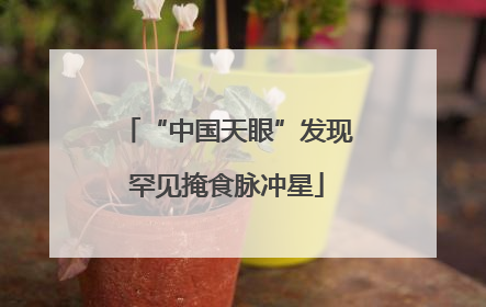 “中国天眼”发现罕见掩食脉冲星