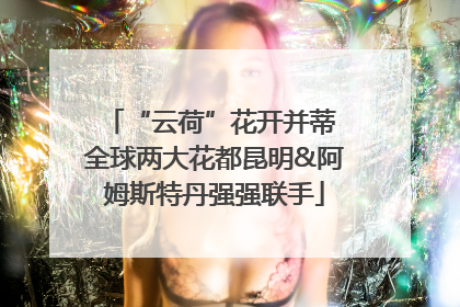 “云荷”花开并蒂 全球两大花都昆明&阿姆斯特丹强强联手