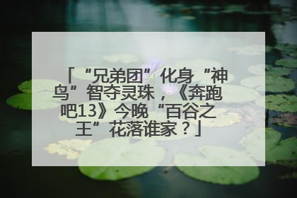 “兄弟团”化身“神鸟”智夺灵珠，《奔跑吧13》今晚“百谷之王”花落谁家？