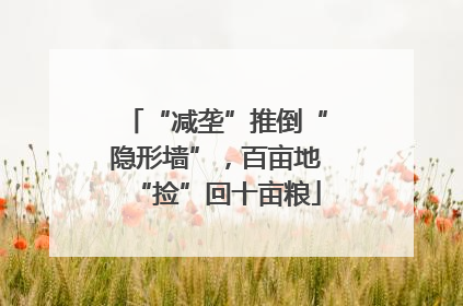 “减垄”推倒“隐形墙”，百亩地“捡”回十亩粮