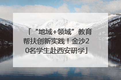 “地域+领域”教育帮扶创新实践！金沙20名学生赴西安研学
