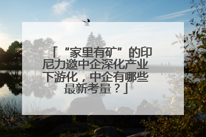 “家里有矿”的印尼力邀中企深化产业下游化，中企有哪些最新考量？