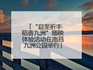 “夏至祈丰·稻香九洲”插秧体验活动在南昌九洲公园举行
