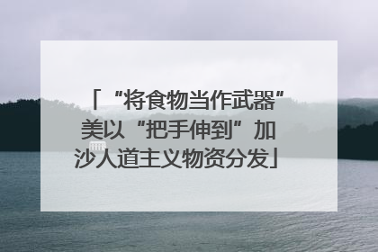 “将食物当作武器” 美以“把手伸到”加沙人道主义物资分发