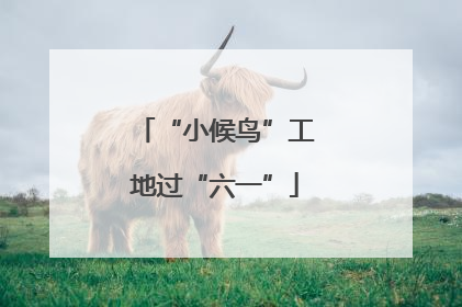“小候鸟”工地过“六一”