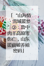 “山海情・雪域援梦”②：鲁中肉羊高原零伤亡，山东援藏破养殖密码