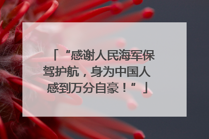 “感谢人民海军保驾护航，身为中国人感到万分自豪！”