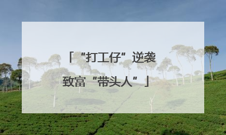 “打工仔”逆袭致富“带头人”