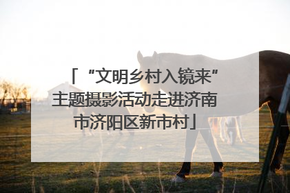 “文明乡村入镜来”主题摄影活动走进济南市济阳区新市村