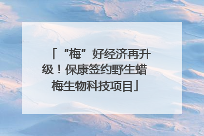 “梅”好经济再升级！保康签约野生蜡梅生物科技项目