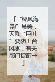 “椰风海韵”虽美，天降“巨叶”要防！台风季，有关部门提醒→