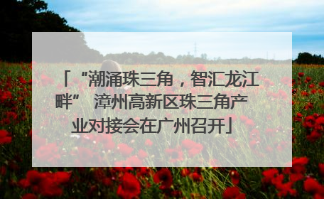 “潮涌珠三角，智汇龙江畔” 漳州高新区珠三角产业对接会在广州召开