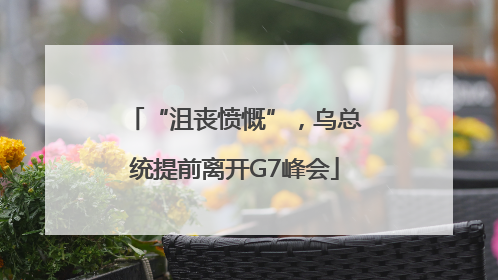“沮丧愤慨”，乌总统提前离开G7峰会