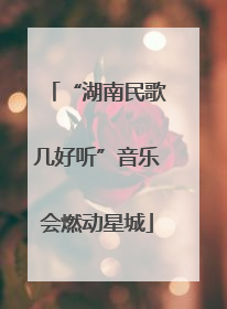 “湖南民歌几好听”音乐会燃动星城