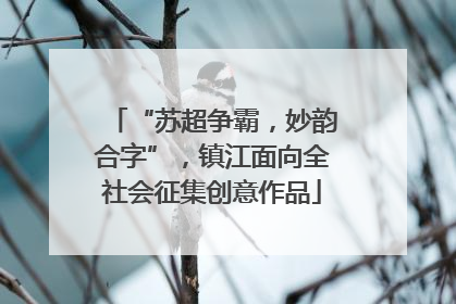 “苏超争霸，妙韵合字”，镇江面向全社会征集创意作品