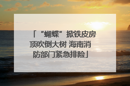 “蝴蝶”掀铁皮房顶吹倒大树 海南消防部门紧急排险