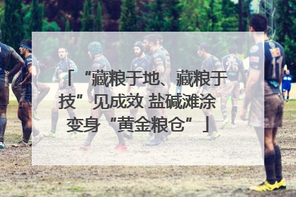 “藏粮于地、藏粮于技”见成效 盐碱滩涂变身“黄金粮仓”