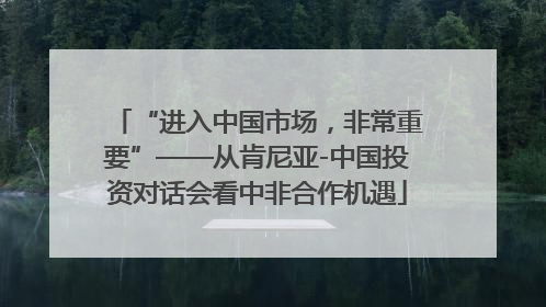 “进入中国市场，非常重要”——从肯尼亚-中国投资对话会看中非合作机遇