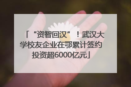“资智回汉”！武汉大学校友企业在鄂累计签约投资超6000亿元