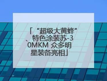 “超级大黄蜂”、特色涂装苏-30MKM 众多明星装备亮相