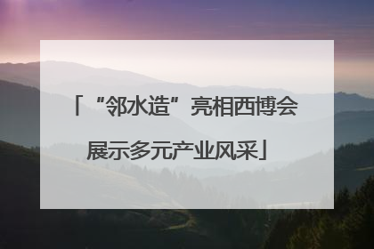 “邻水造”亮相西博会 展示多元产业风采
