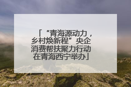 “青海源动力，乡村焕新程”央企消费帮扶聚力行动在青海西宁举办