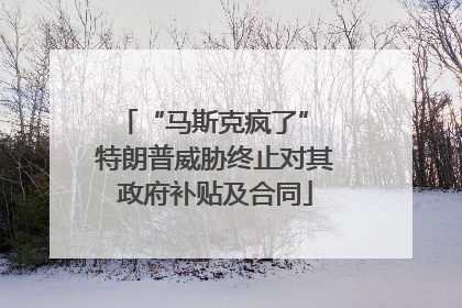 “马斯克疯了” 特朗普威胁终止对其政府补贴及合同