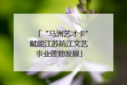 “马洲艺才卡”赋能江苏靖江文艺事业蓬勃发展