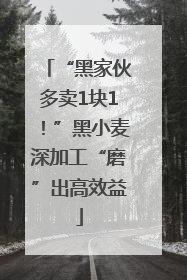 “黑家伙多卖1块1！”黑小麦深加工“磨”出高效益