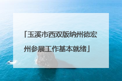 玉溪市西双版纳州德宏州参展工作基本就绪