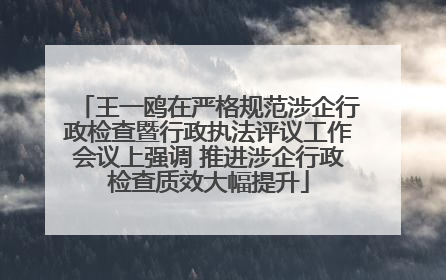 王一鸥在严格规范涉企行政检查暨行政执法评议工作会议上强调 推进涉企行政检查质效大幅提升