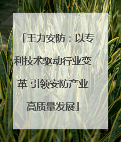 王力安防：以专利技术驱动行业变革 引领安防产业高质量发展