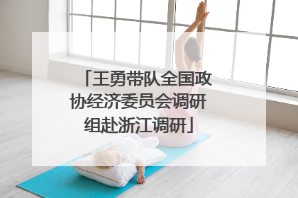 王勇带队全国政协经济委员会调研组赴浙江调研
