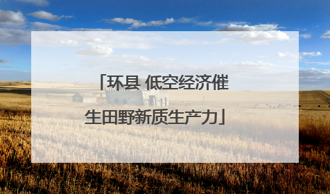 环县 低空经济催生田野新质生产力