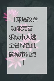 环境改善功能完善 乐陵市入选全省绿色低碳城市试点